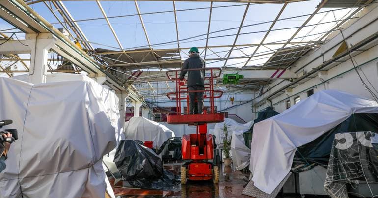 Limited Access to Credit Lines for Portuguese Companies