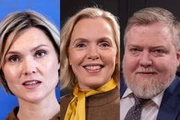 Icelandic Social Democratic Alliance Loses Support in New Poll