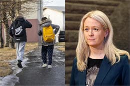 Icelandic MP Demands Answers on Youth Mental Health and Addiction Treatment