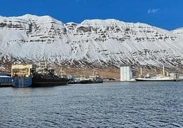 Over Six Thousand Tons of Capelin Roe Landed in Neskaupstaður