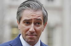 Tánaiste Finds Eviction Notices for 36 Wexford Homes 'Peculiar'