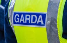 Investigation Launched into Death of Man in Garda Custody in Ireland