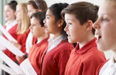 Sinn Féin Councillor Calls for National Anthem to be Mandatory in Primary Schools