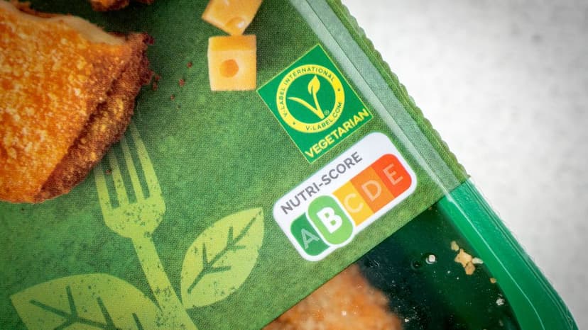 Dutch Coalition Agreement Faces Scrutiny Over Unrealistic Promises