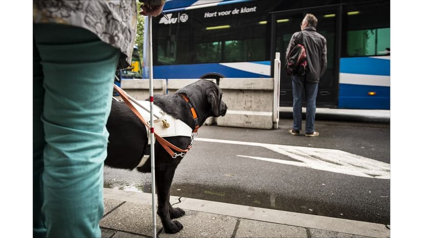 Many Dutch bus stops inaccessible for people with disabilities