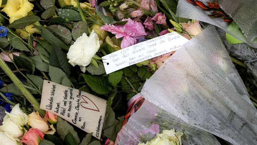 Dutch police investigate 1,700 officers for unauthorized access to 'Lisa case' files