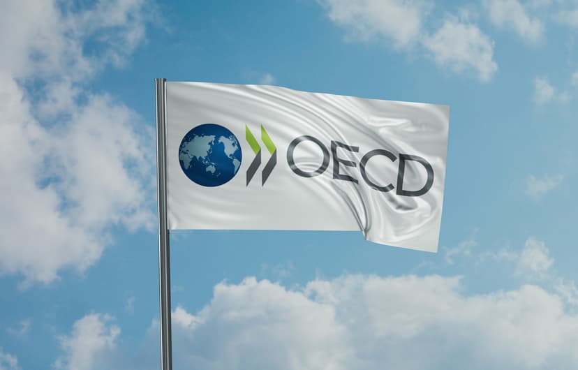 Romania Secures 21st OECD Accession Approval