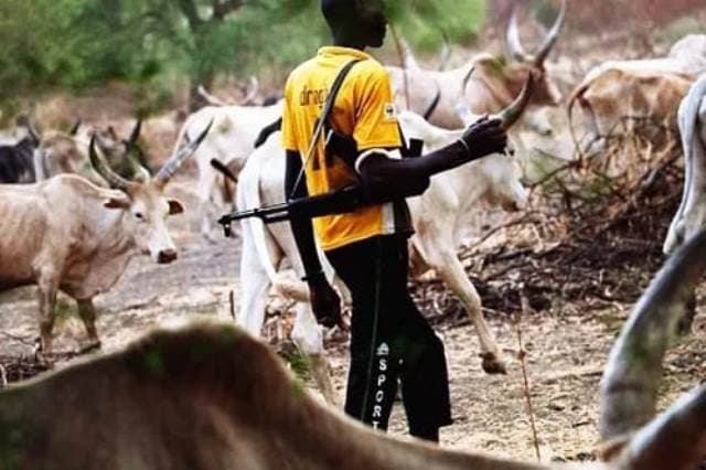 Farmer-Herder Clashes Claim 3,000 Lives in North Central Nigeria