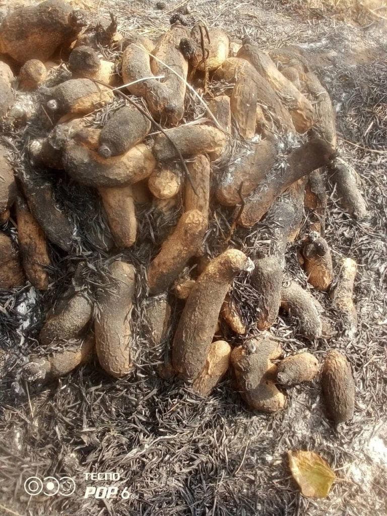 Anger as hunters set yam barns ablaze in Cross River