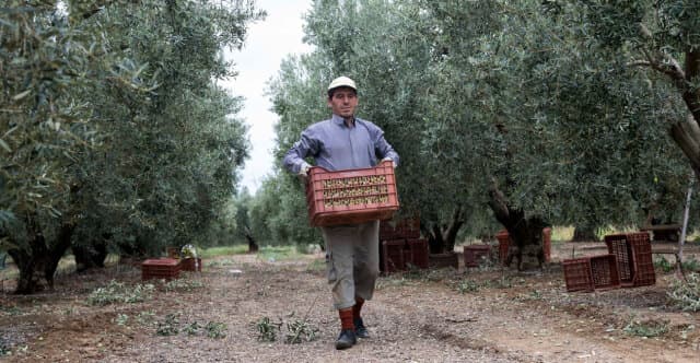 ELGA: €18.7 million in compensation credited today to eligible producers’ accounts