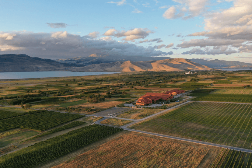 Angelos Iatridis: From Amyndeon, IVES and Château Margaux to Boutaris’ takeover in Santorini