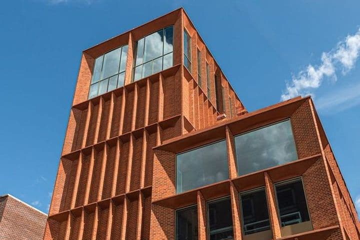 Limerick Rugby Experience to Become Permanent Women's Museum