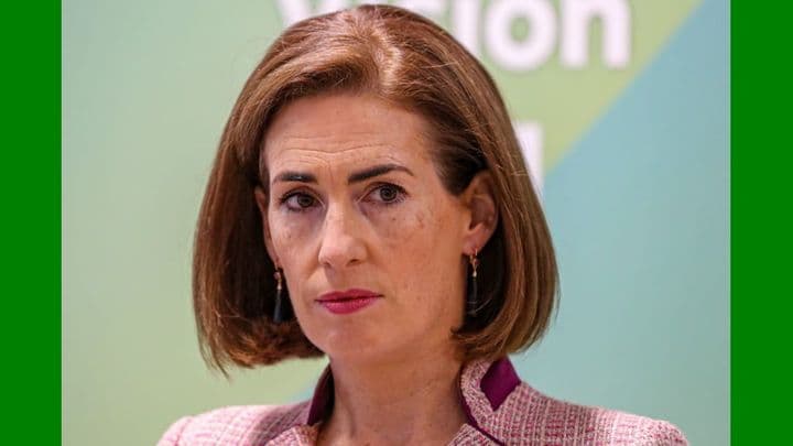 Government ‘still working out details’ of where €19m for extra SNAs will come from, PAC told