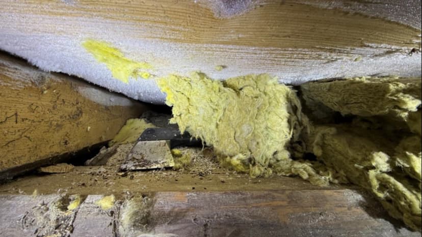 Løten murder: Victim's blood found on axe in suspect's basement