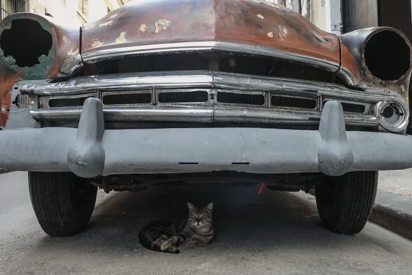 The Other Revolution