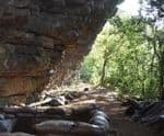 New Research Challenges Abrupt Stone Age Transition Theory in South Africa