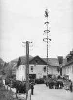 Nazi Regime's Systematic Killing of Disabled People in Rural Communities