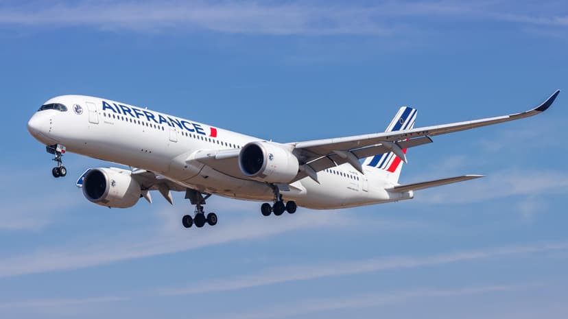 Infant Dies on Air France Flight from Nairobi to Paris