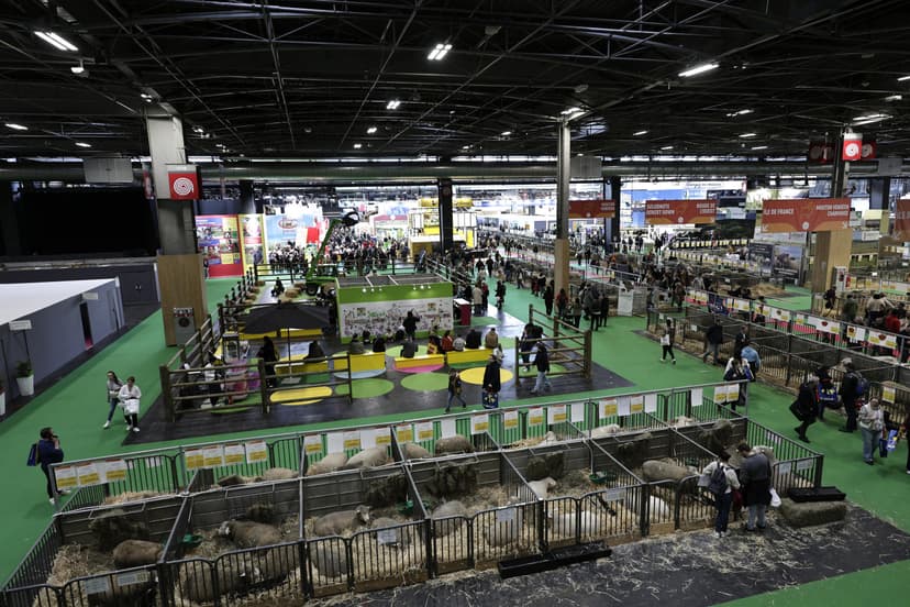 Five to be Judged After Fight at Paris Agricultural Show