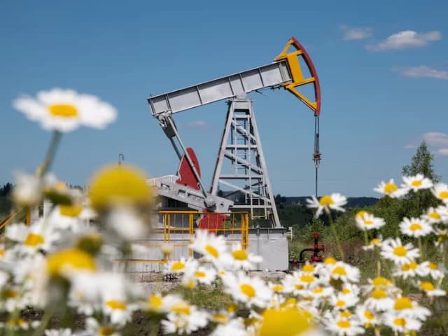 Govt to pass oil price surge fully to consumers