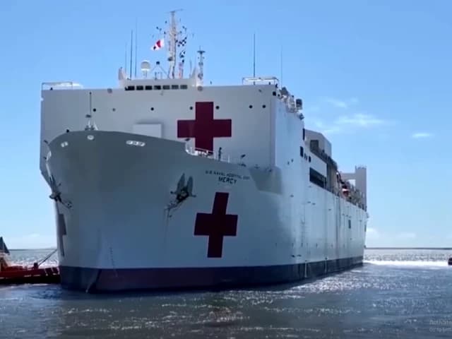 Greenland and Denmark Reject Trump's Hospital Ship Offer