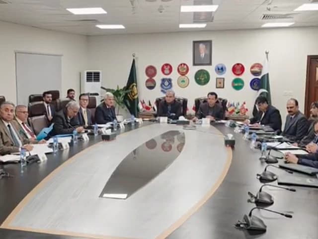 Overseas Pakistanis eligible for one-year Spanish resident cards