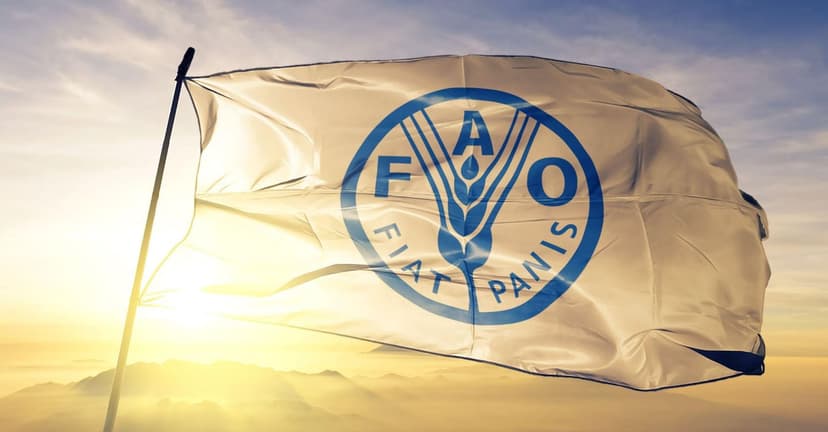 Italy Nominates Maurizio Martina to Lead FAO