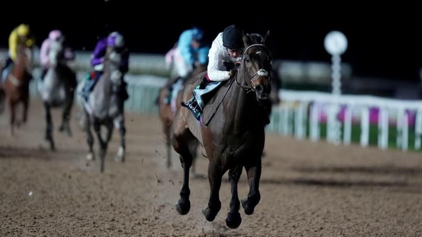 Constitution Hill Shines on Flat Debut, Returns to Winning Ways