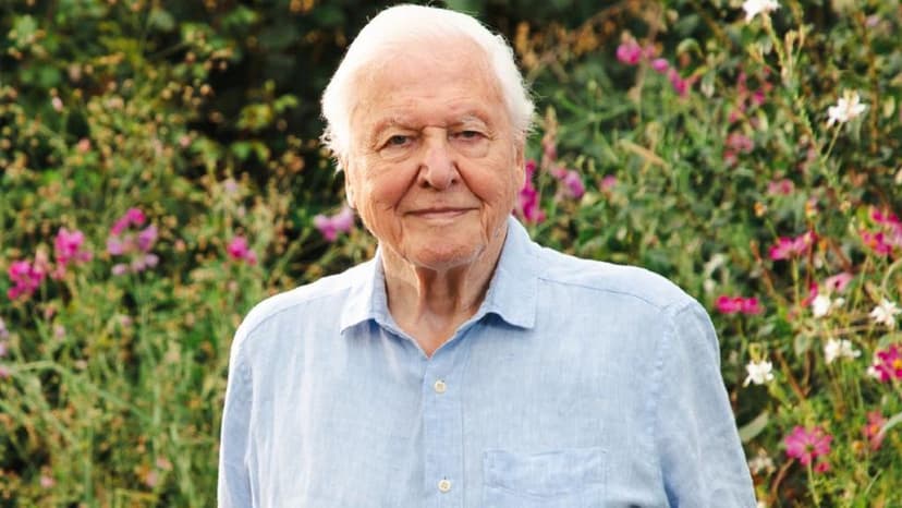 BBC Plans 100th Birthday Celebration for David Attenborough