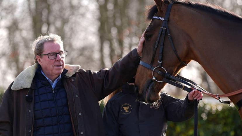 Redknapp's Jukebox Man confirmed for Gold Cup