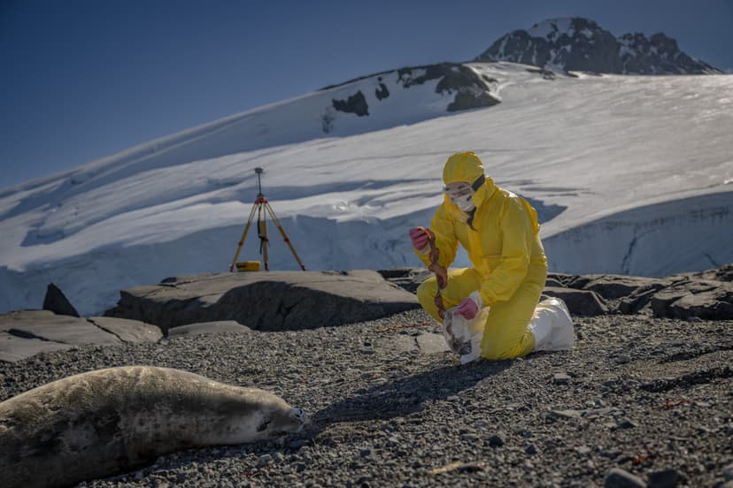 Turkish Scientists Research Antarctic Ecosystems for New Drugs
