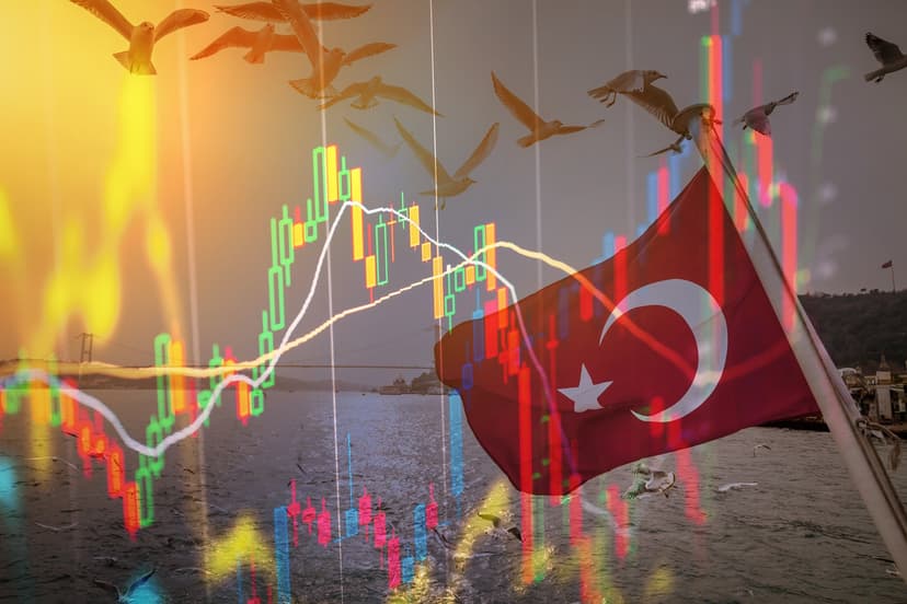 Türkiye's Repositioning in Global Economic Security