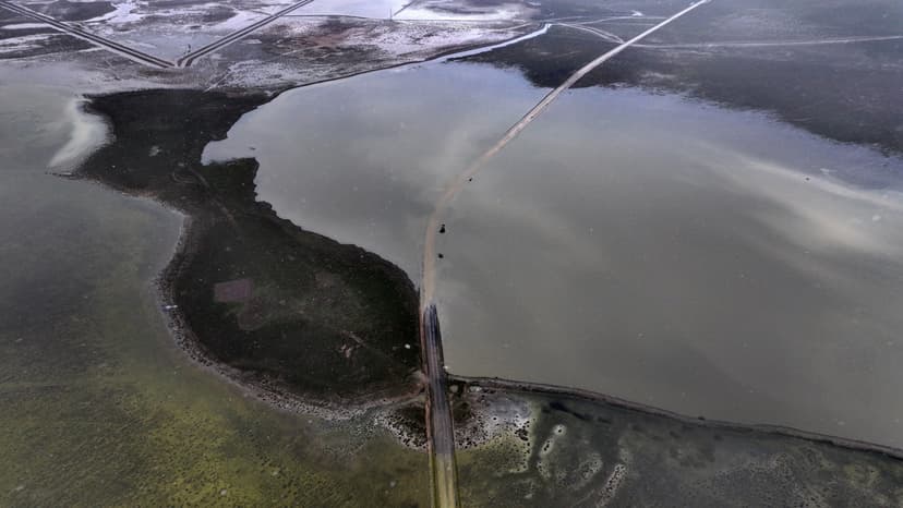 Bird habitats flourish as Tuzla Palas Lake recovers in Türkiye