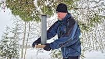 Harsh Winter Causes Bird Disappearance in Finland