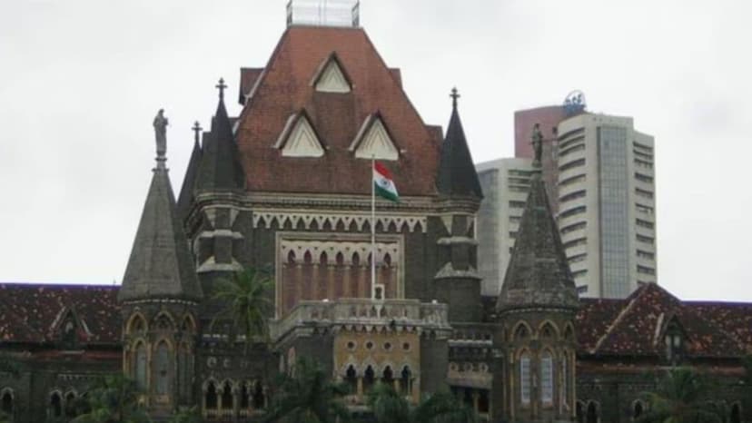 Bombay HC rules horse handler responsible for child’s safety