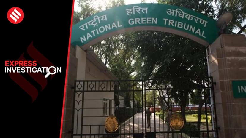2020-25: In 4 of 5 appeals, green watchdog NGT rules in favour of developers to clear projects