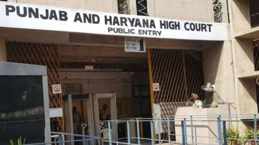 Why aren’t you filing FIRs: high court seeks affidavits from UT, Punjab, Haryana DGPs