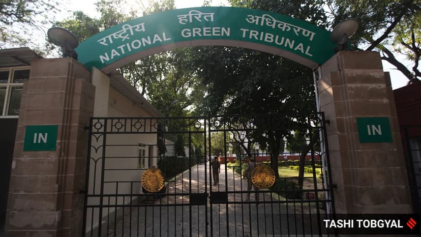 NGT rejects petition withdrawal in Himachal environmental damage case