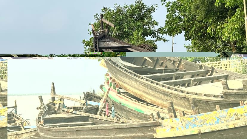 Fishermen Rescue Two Dolphins in Bharuch Creek