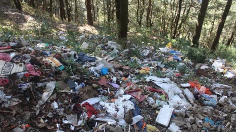 Himachal Pollution Body Files Complaint Against Officers Amid Kasol Garbage Crisis Probe