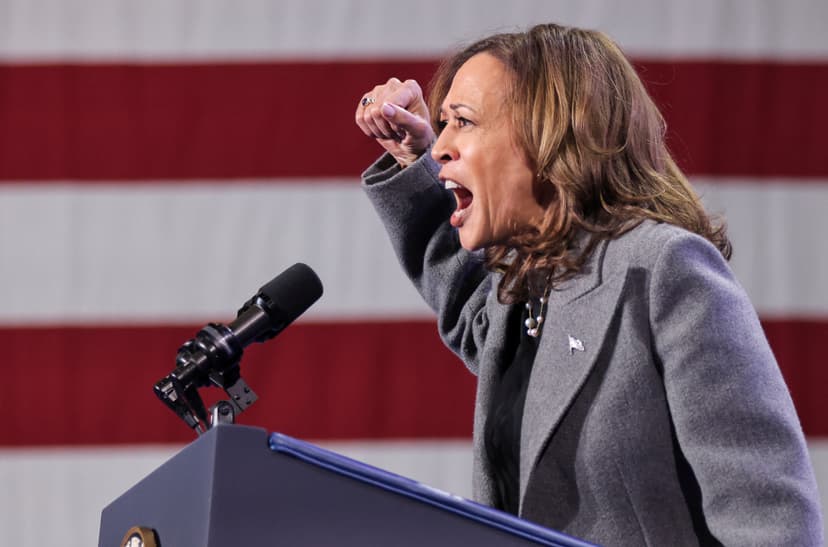 DNC Research Suggests Gaza War Policy Cost Kamala Harris 2024 Election Victory
