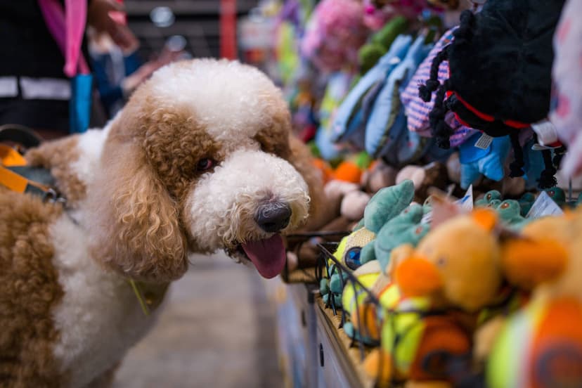 Majority of Imported Toys Violate EU Safety Standards