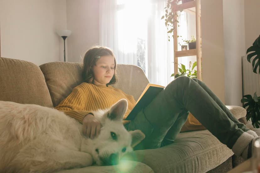 Research Reveals Dogs Significantly Alter Indoor Air Quality