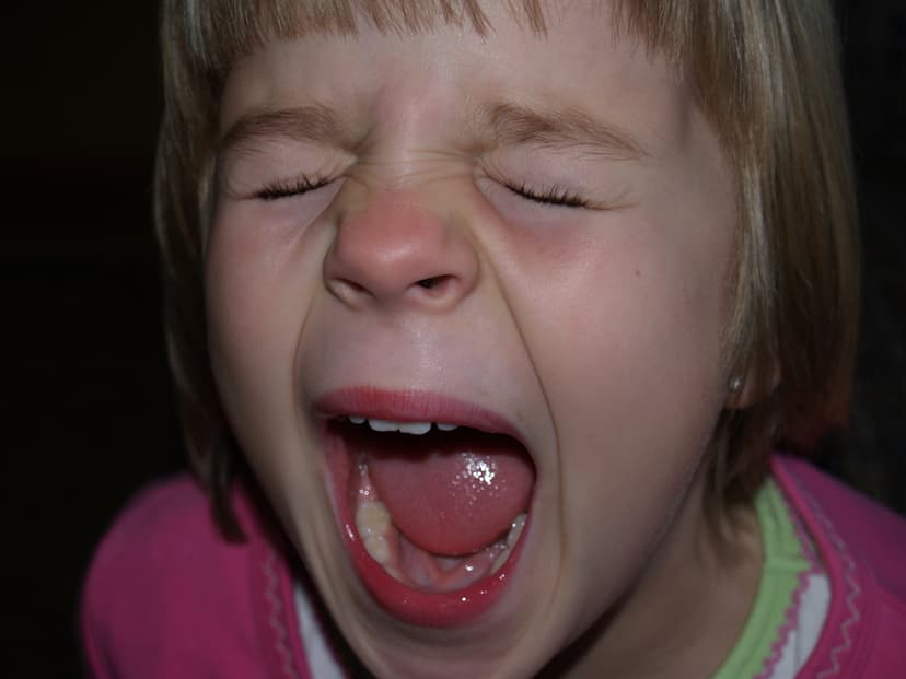 German Article on Dealing with Disruptive Children on Airplanes