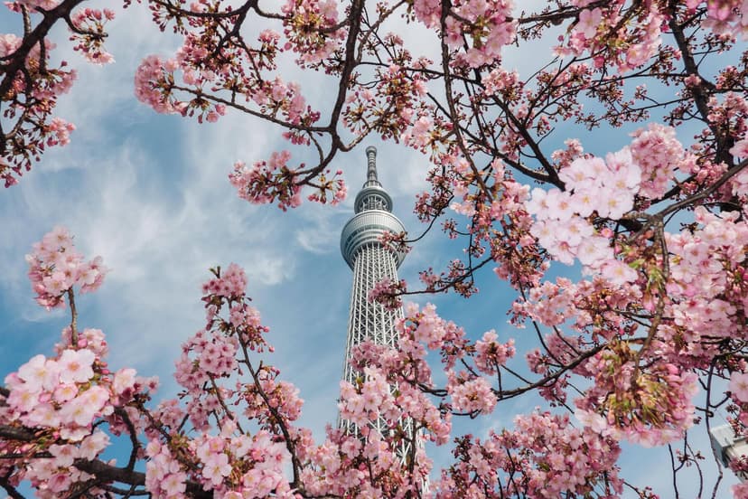 Elevator Stuck for Hours in Tokyo Skytree