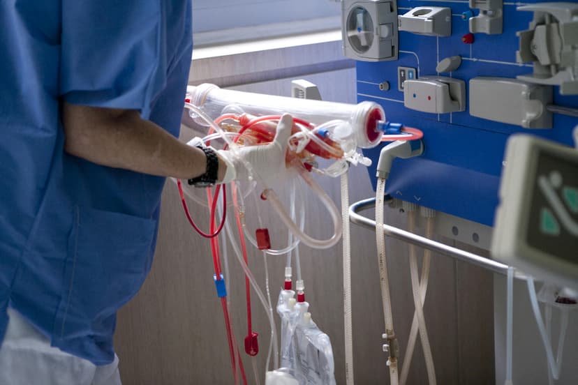 Chronic Kidney Disease a 'Silent Killer' Affecting Many Hungarians