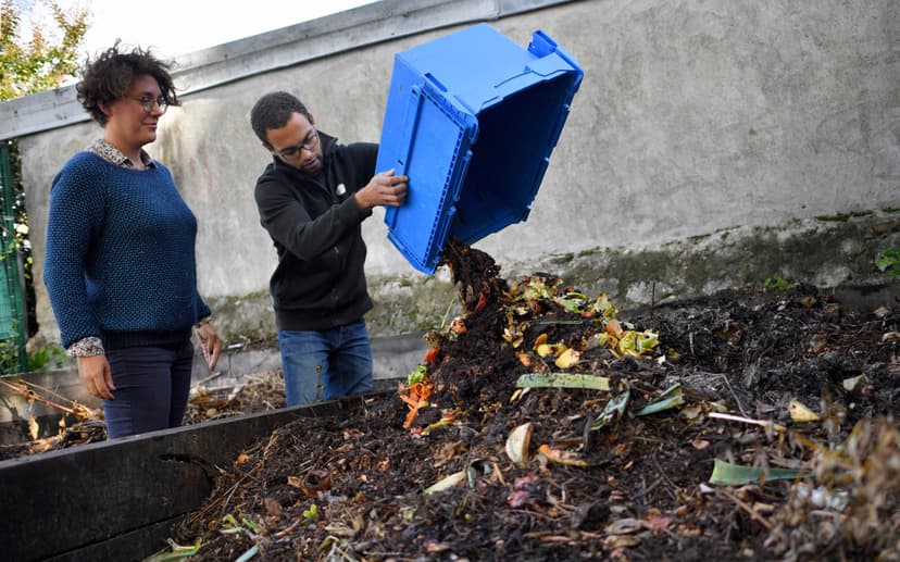 Tips for Successful Composting in Cold Weather
