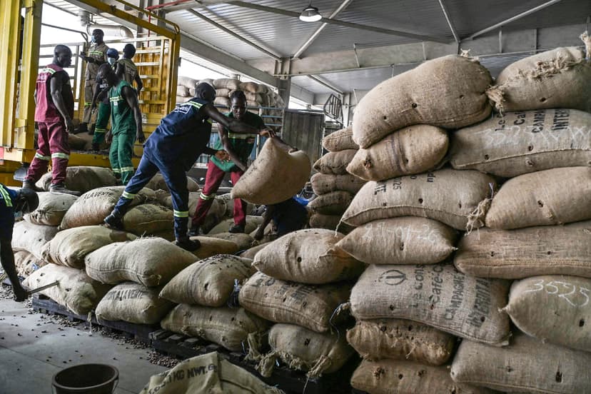 High Prices for Chocolate, Olive Oil, and Orange Juice Persist in Hungary Despite Global Declines