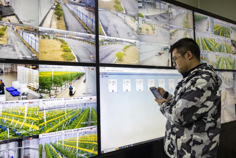 EU Agricultural Subsidies in Hungary Benefit Foreign-Owned Farms and Large Corporations