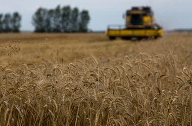 Bászna Gabona Employees Receive State Support from Wage Guarantee Fund